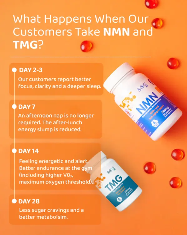 NMN Bio 500 mg Vorteile Abbildung