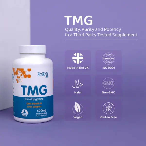 TMG 500 mg Nährungsergänzungsmittel - Trimethylglycine, Österreich