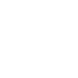 vegan hochwertige Nahrungsergänzungsmittel